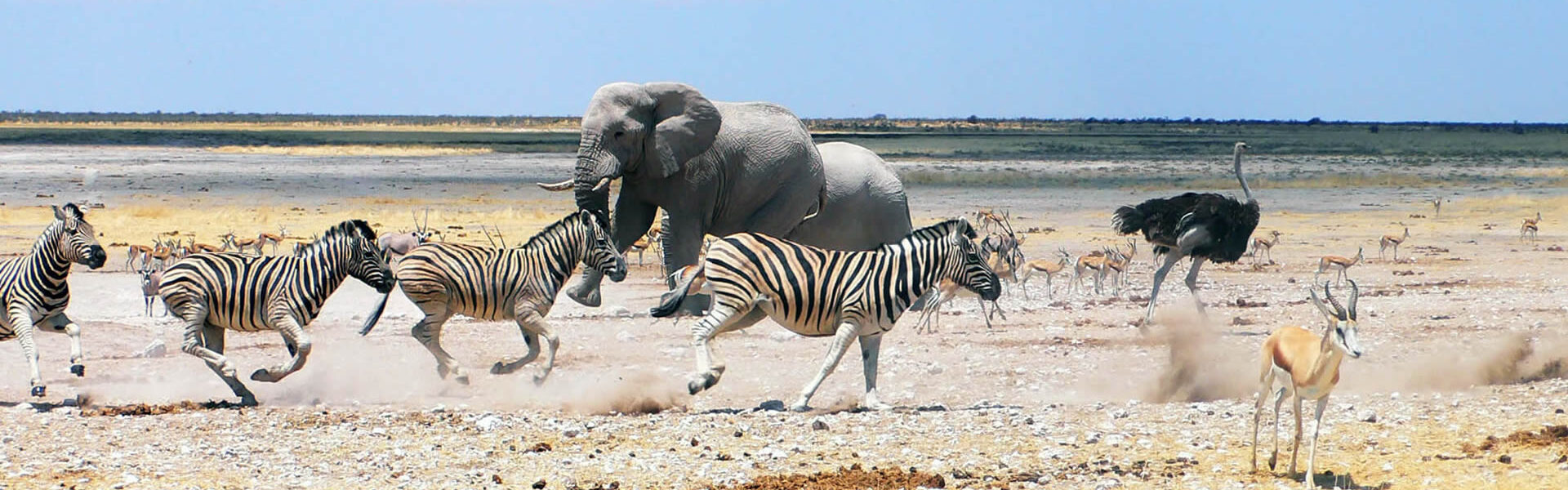 Etosha National Park